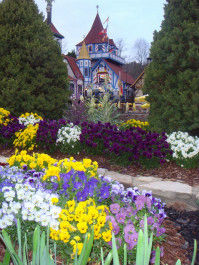 Spring Flowers in Helen Georgia