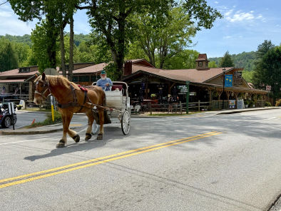 Betty's Country Store in Alpine Helen Georgia near Yonah Mountain Campground