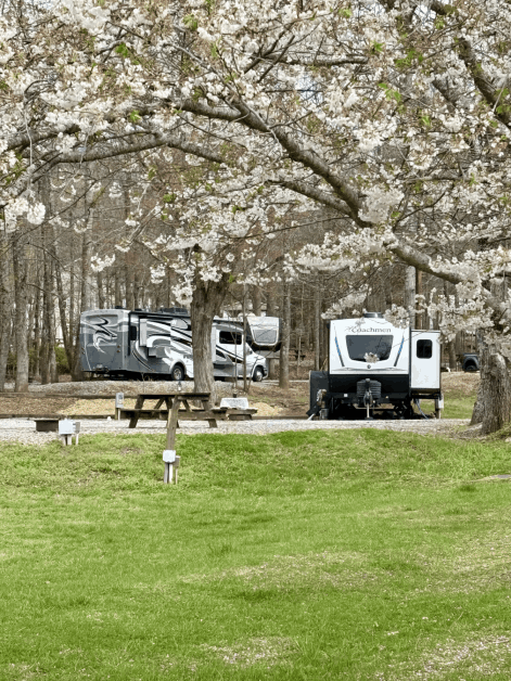 RVs set up with plenty of green space