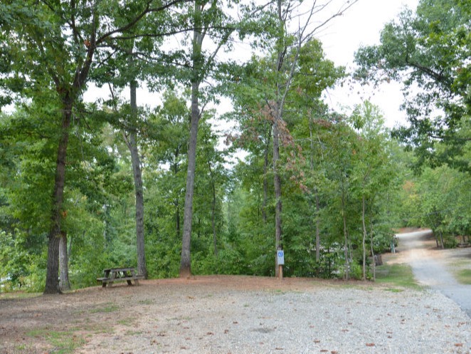 Wooded Level Campsite at Yonah Mountain Campground with Full Hook-up and Wifi