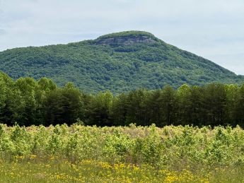 Yonah Mountain in Cleveland, GA near Yonah Mountain Campground
